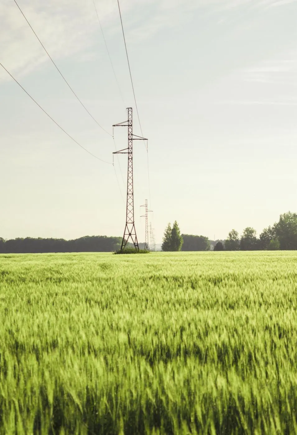Lignes électriques haute tension au-dessus d'un champ
